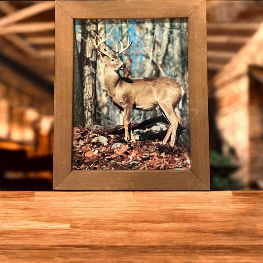 Rustic Framed Whitetail Deer Forest Print Wall Art Nature Decor