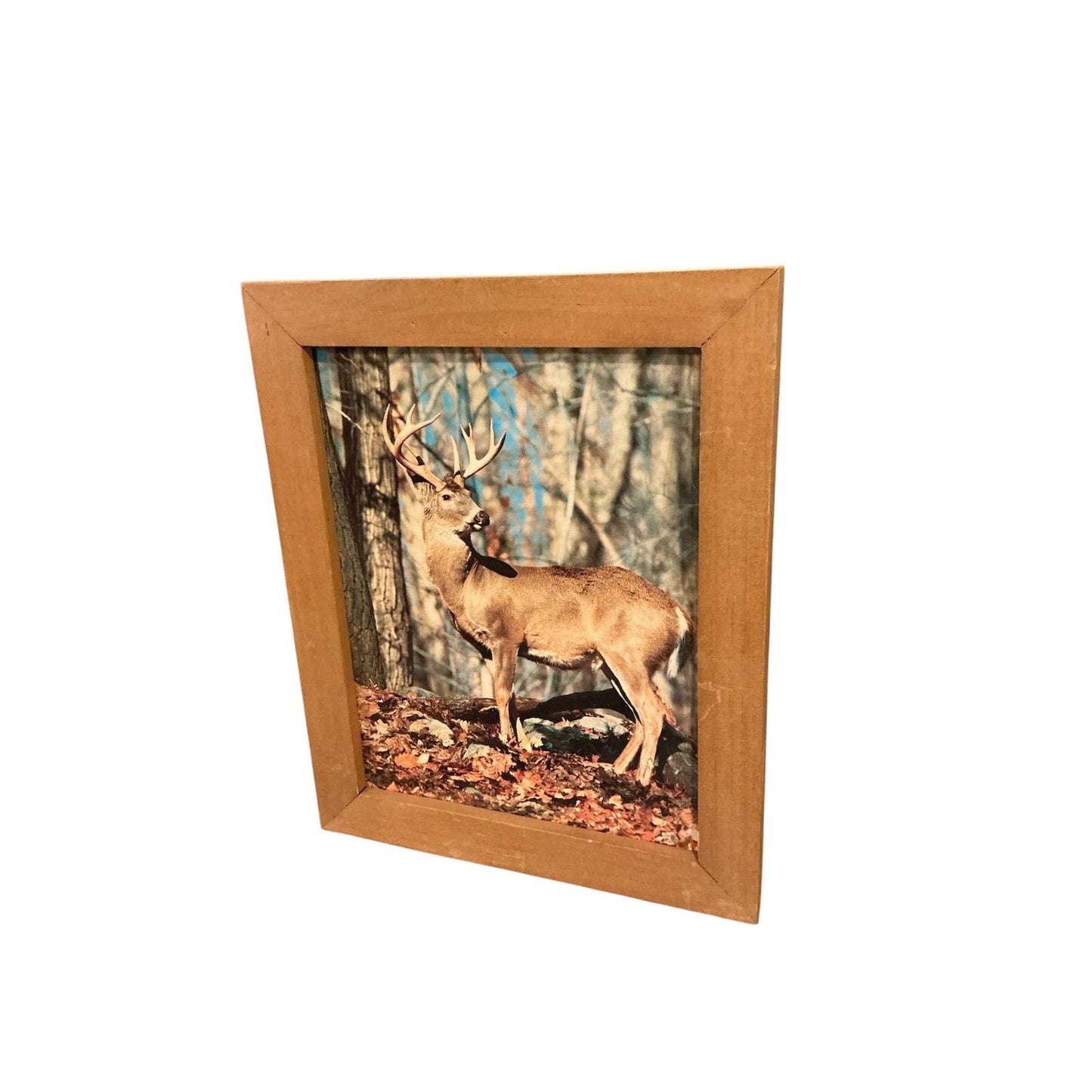 Rustic Framed Whitetail Deer Forest Print Wall Art Nature Decor