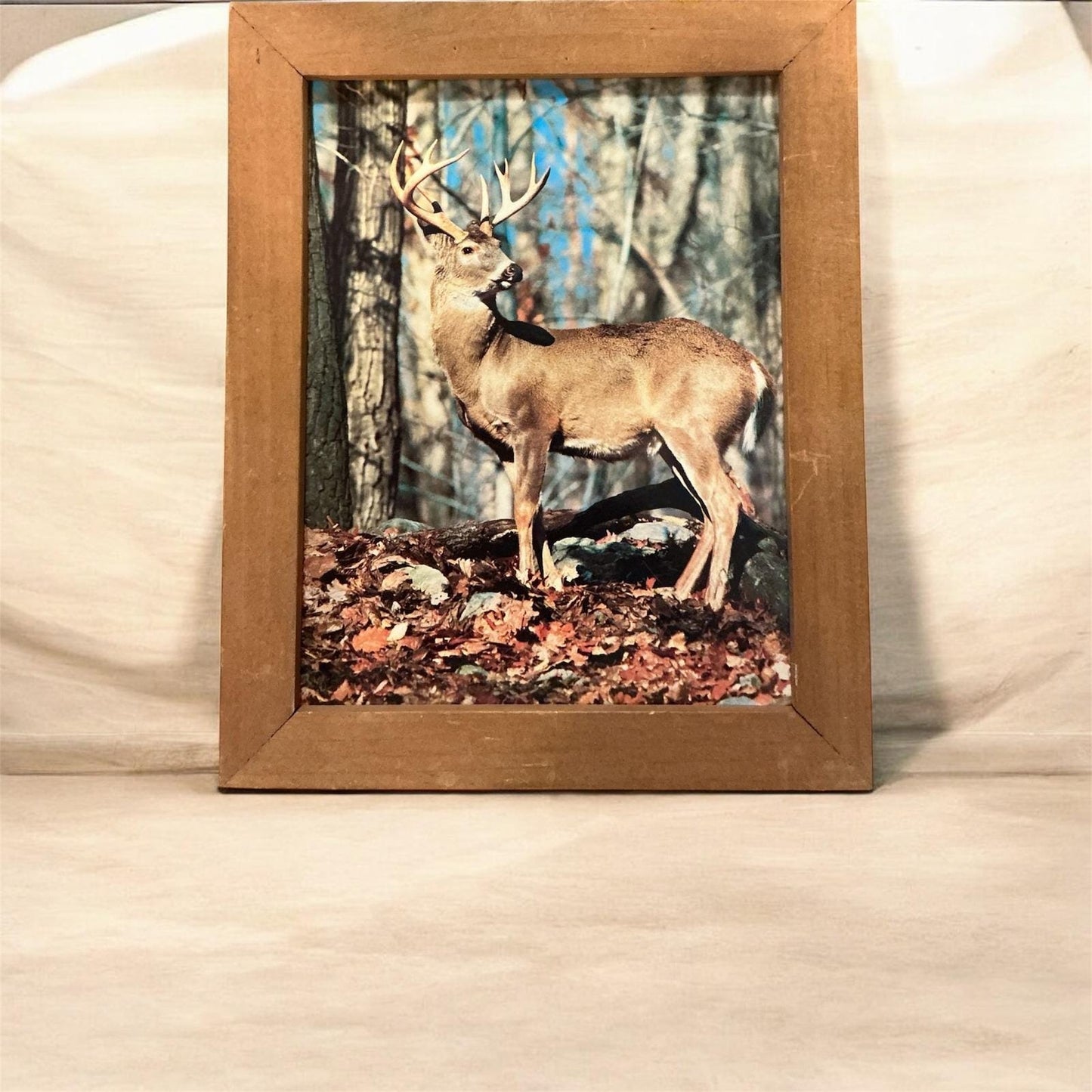 Rustic Framed Whitetail Deer Forest Print Wall Art Nature Decor
