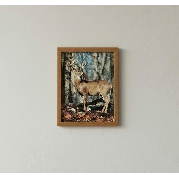 Rustic Framed Whitetail Deer Forest Print Wall Art Nature Decor