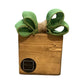 Rustic Highland Cow Wood Block Decor with Green Burlap Bow Farmhouse Autumn