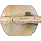 Vintage Chikaramachi Japan Hand-Painted Porcelain Plate With Scenic Sunset & Tree Design