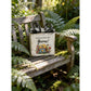 Rustic Wood Sign There's no place like Gnome Mushroom House Tiered Tray