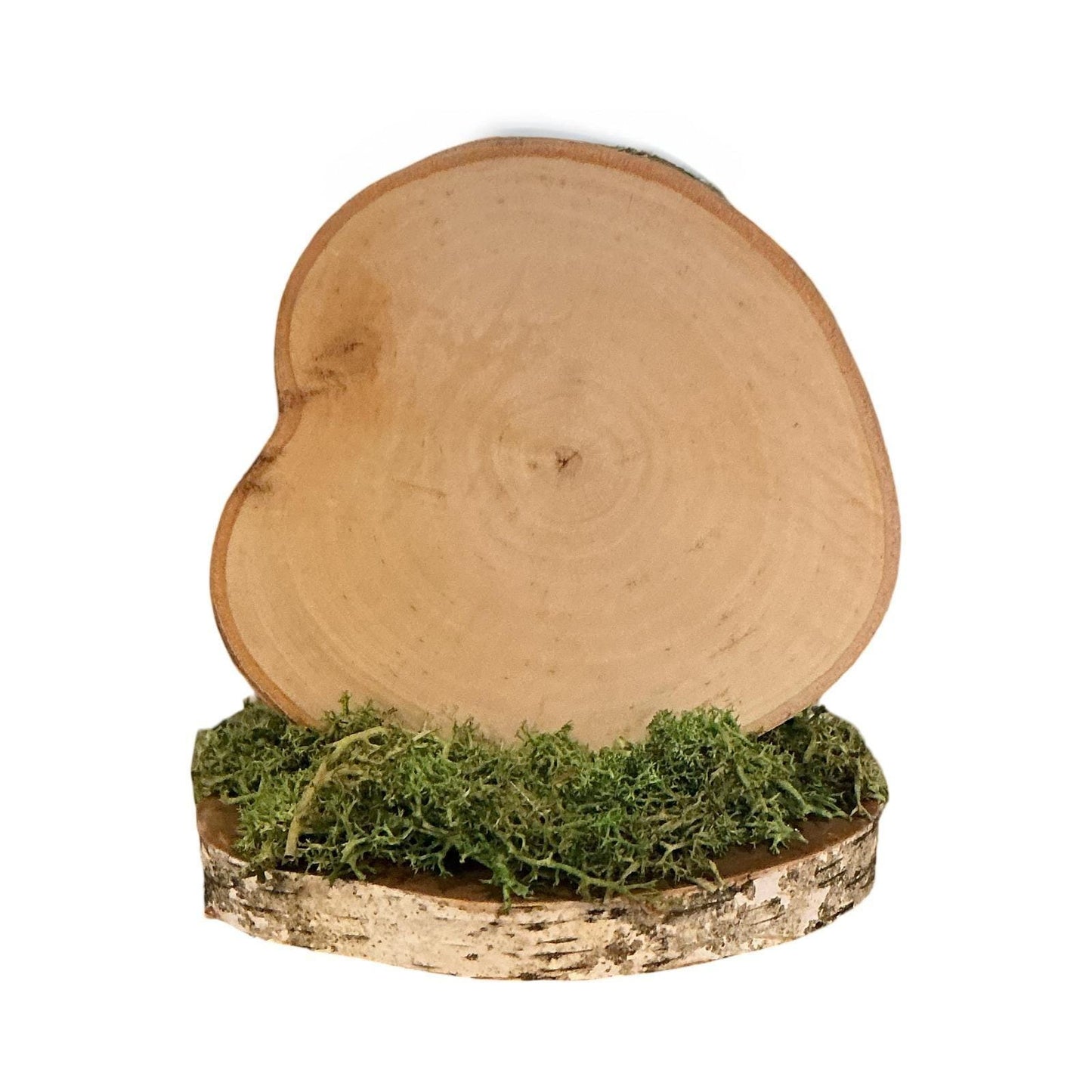 Do It Scared Rustic Wood Slice Shelf Sitter Moss Base Coastal Decor 5x4x5